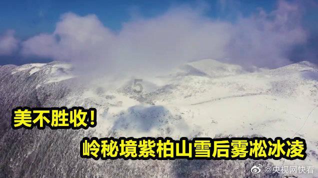 卑鄙的小妖精