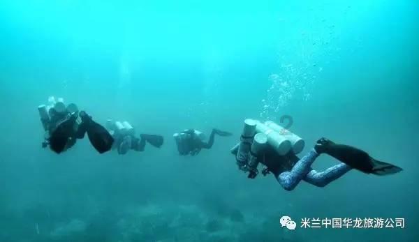 硕大的苹果